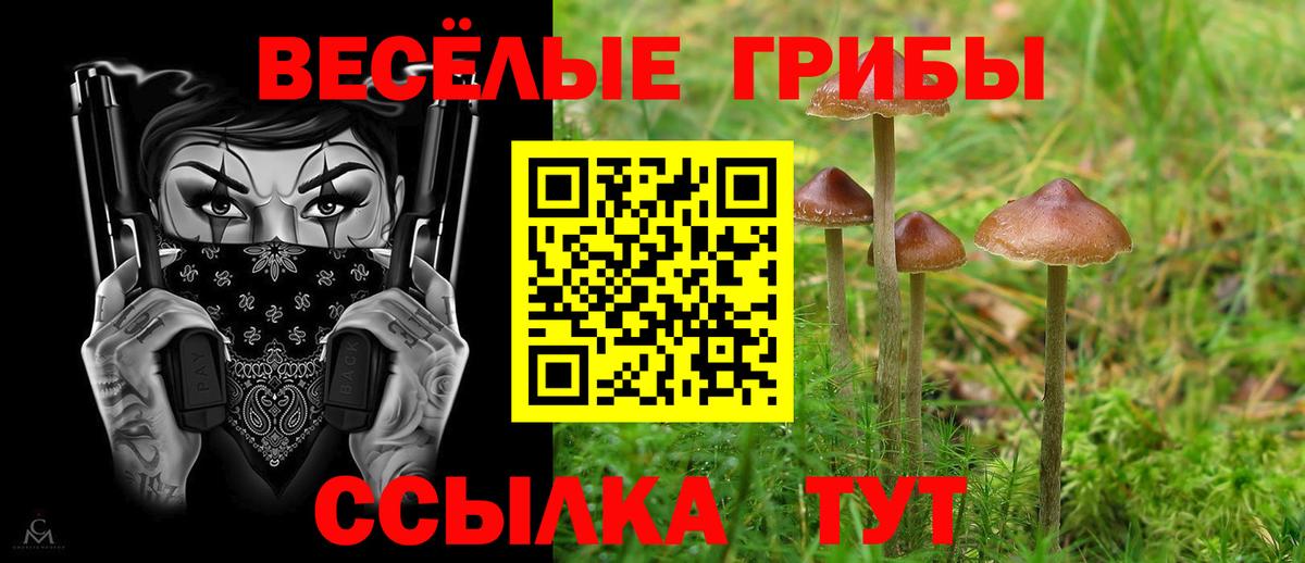 Галлюциногенные грибы ЛСД Минеральные Воды