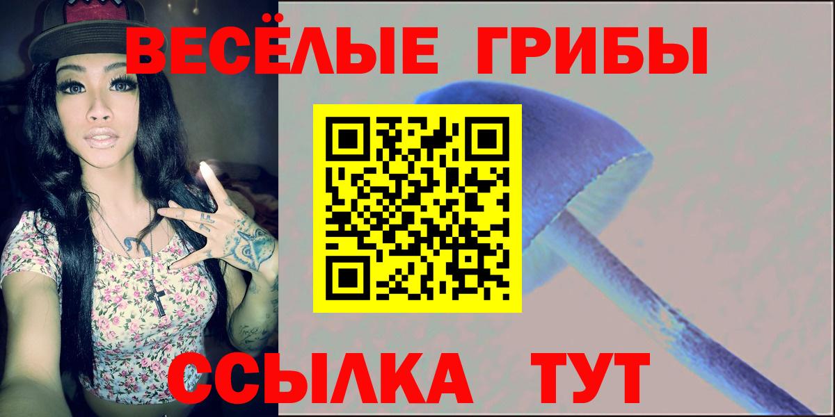 Галлюциногенные грибы мицелий  Вход с VPN  Минеральные Воды 